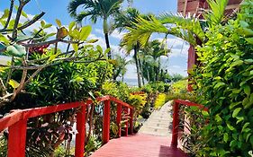 Kiikii Inn Rarotonga